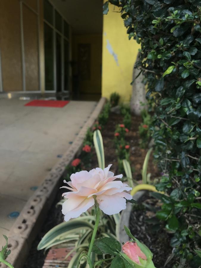 The M Bokeo Hotel Huay Xai Luaran gambar